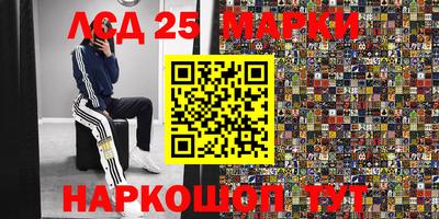 дмт Будённовск
